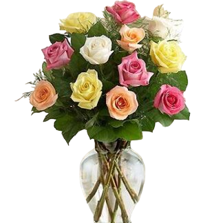 15 multi-colored roses | Flower Delivery Tolyatti